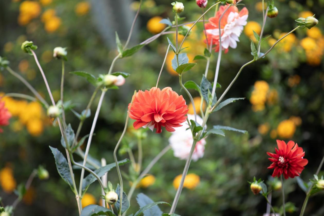 מארו Gatimene Gardens Hotel מראה חיצוני תמונה